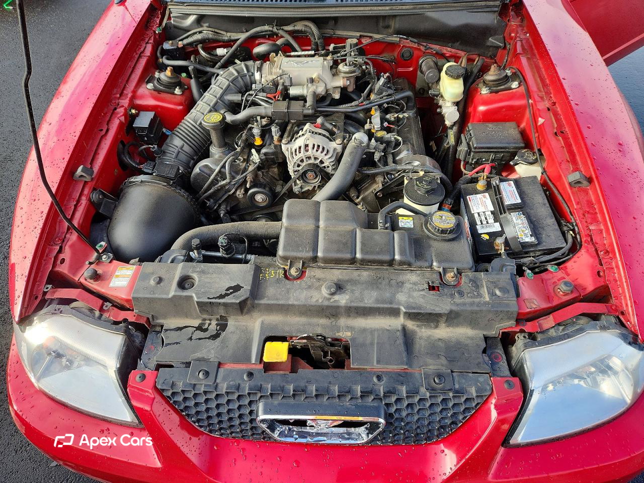 Ford Mustang 2000