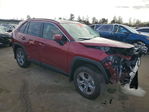 Toyota RAV 4 2025
