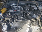 Kia K5 2022