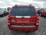 Ford Escape 2012