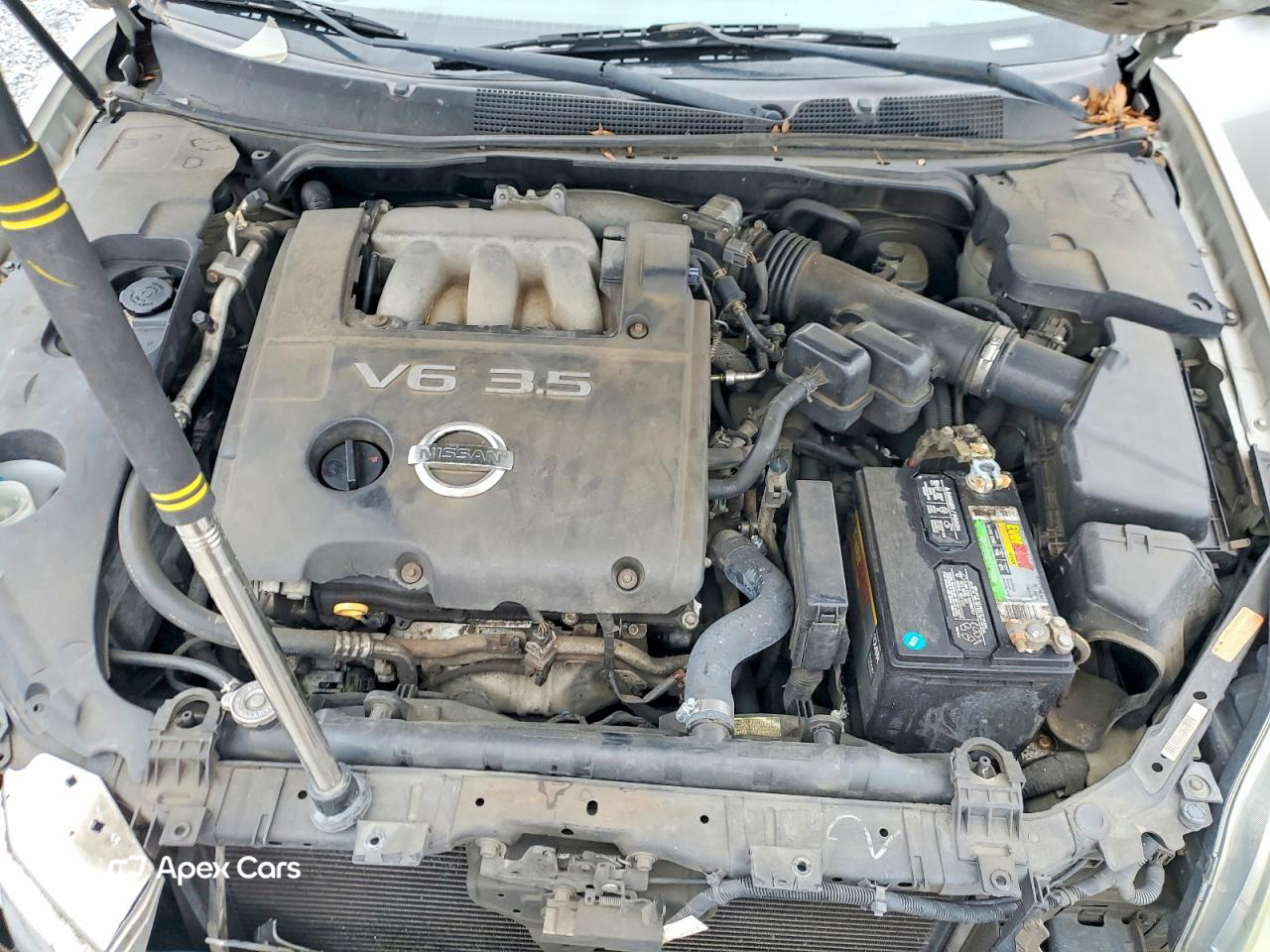 Nissan Maxima 2006