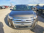 Ford Edge 2013