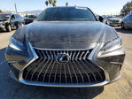 Lexus ES 2025