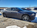 Dodge Charger 2013
