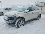 Ford Edge 2013