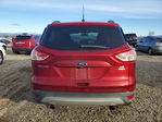Ford Escape 2015