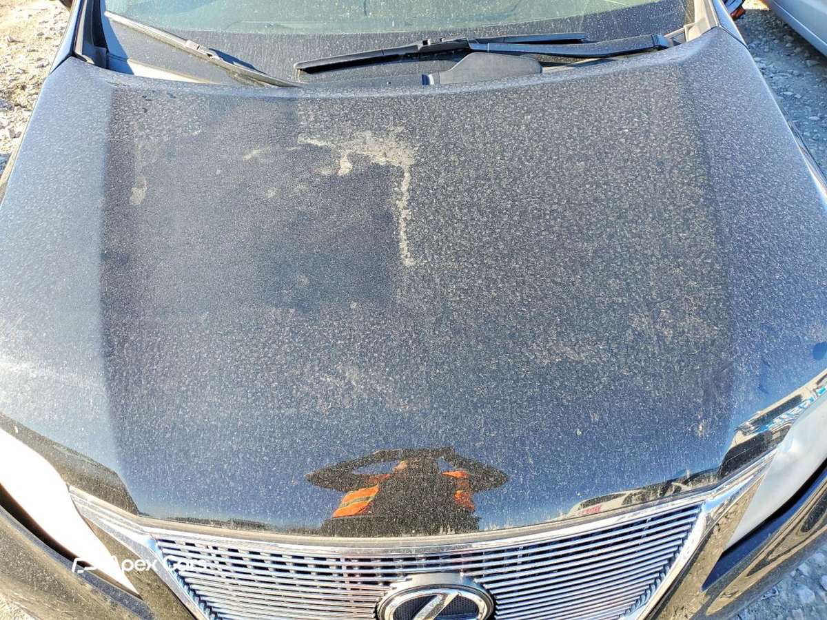 Lexus RX 2010
