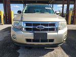 Ford Escape 2012