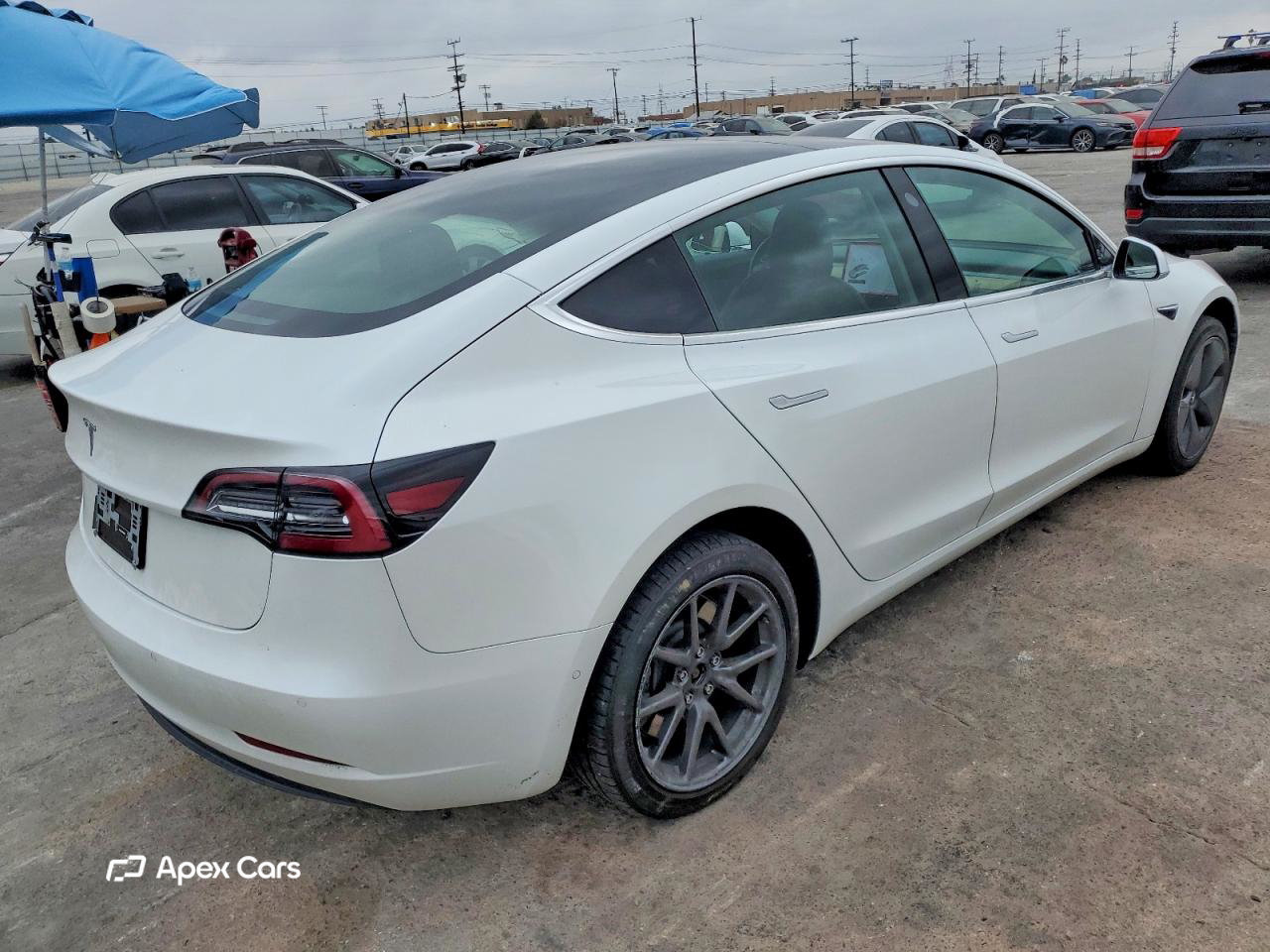 Tesla Model 3 2019
