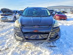 Ford Escape 2013