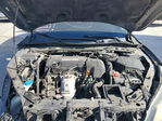 Honda Accord 2013