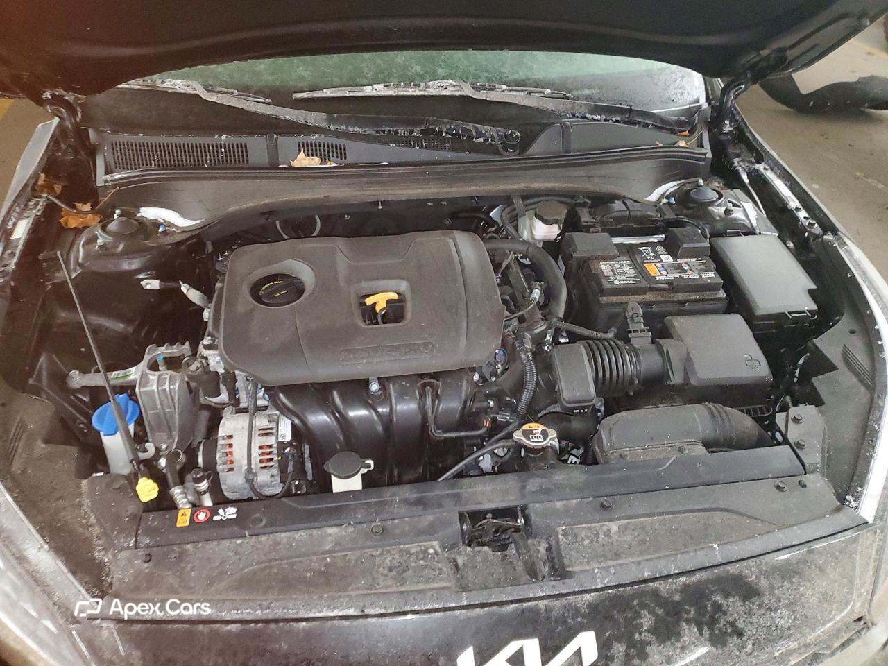 Kia Forte 2024