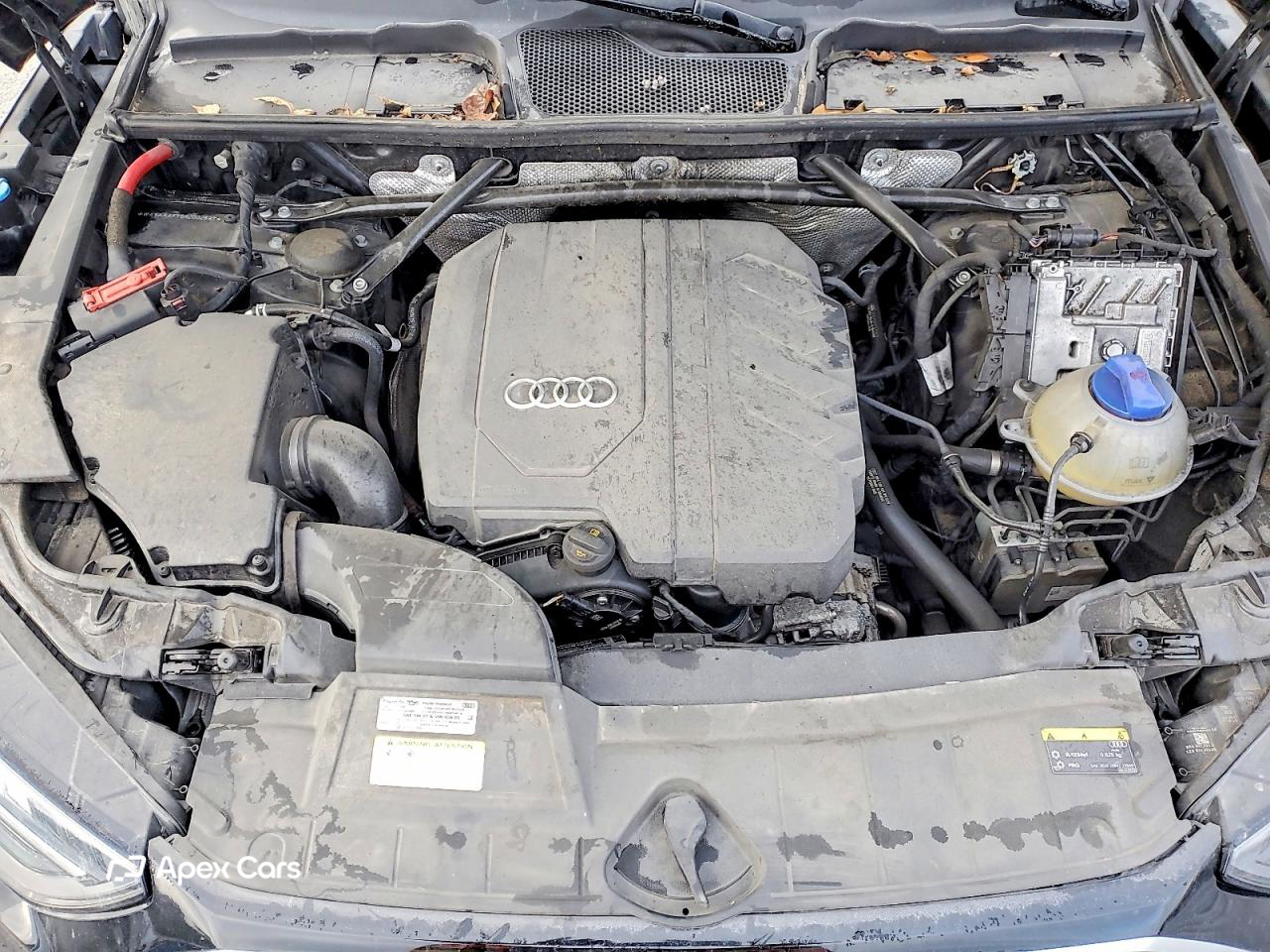Audi Q5 2021