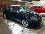 Lexus IS 2011