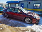 Honda Accord 2017