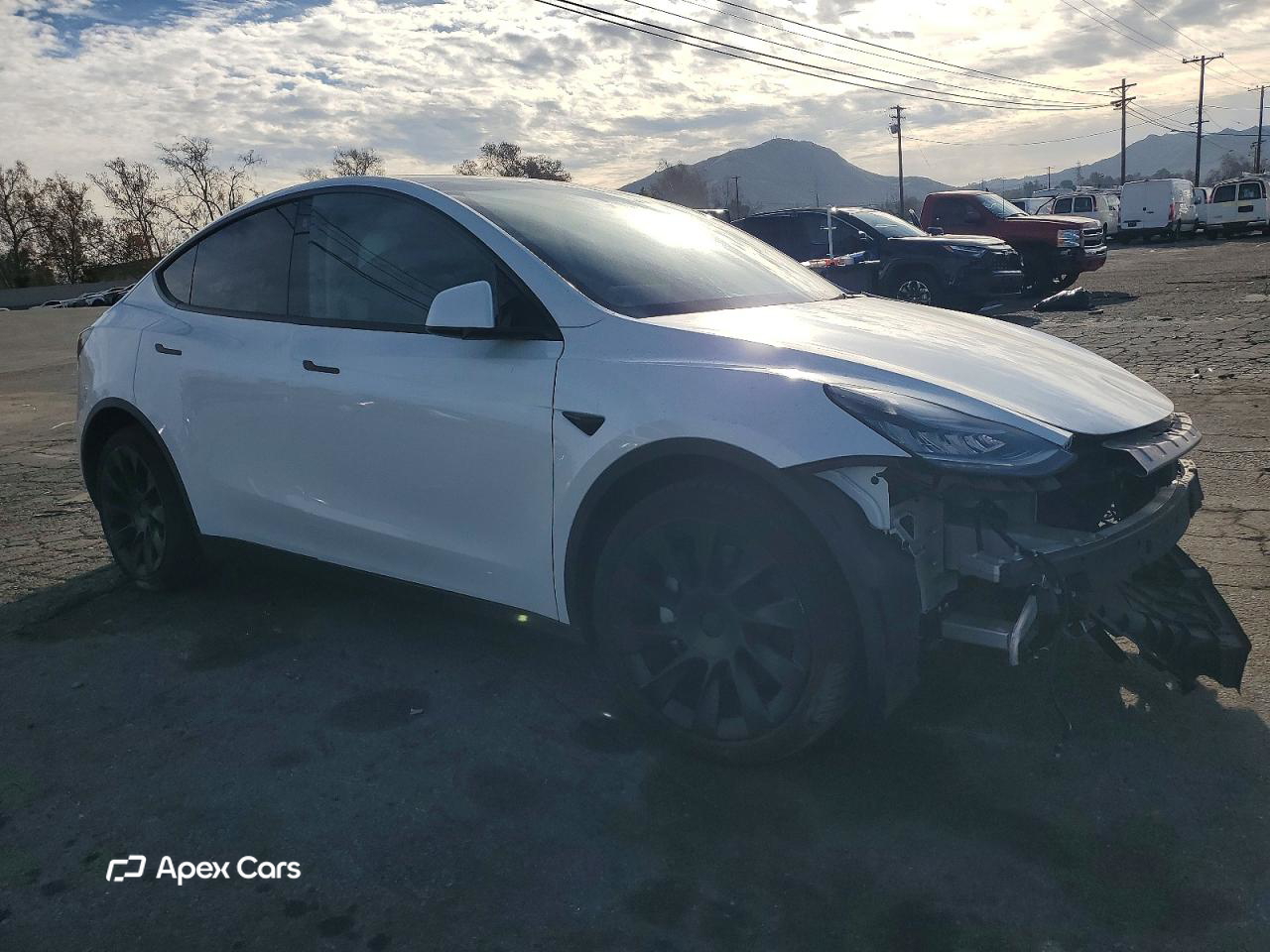 Tesla Model Y 2021