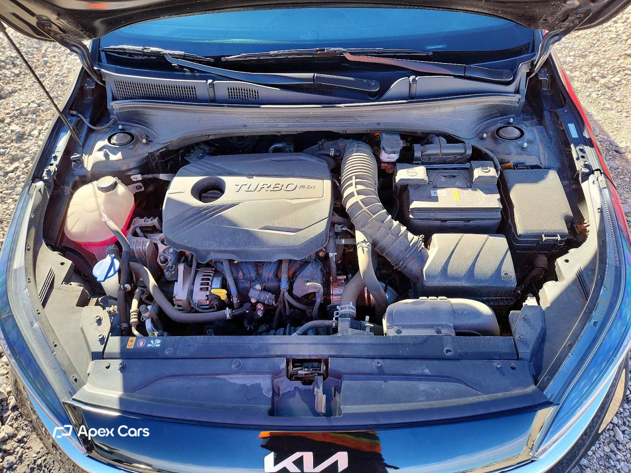 Kia Forte 2023