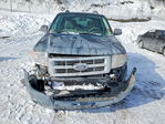 Ford Escape 2010