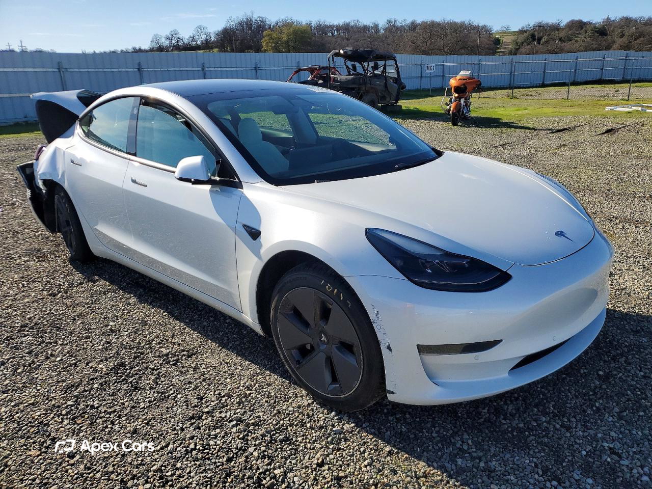 Tesla Model 3 2021