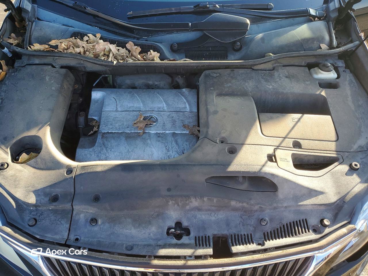 Lexus RX 2010