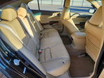 Honda Accord 2010