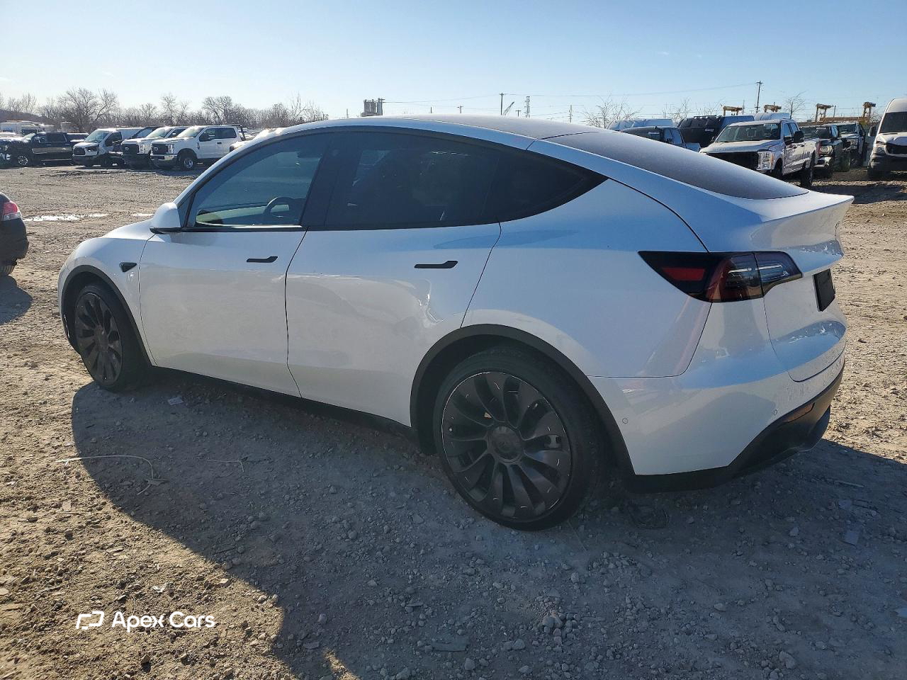 Tesla Model Y 2021