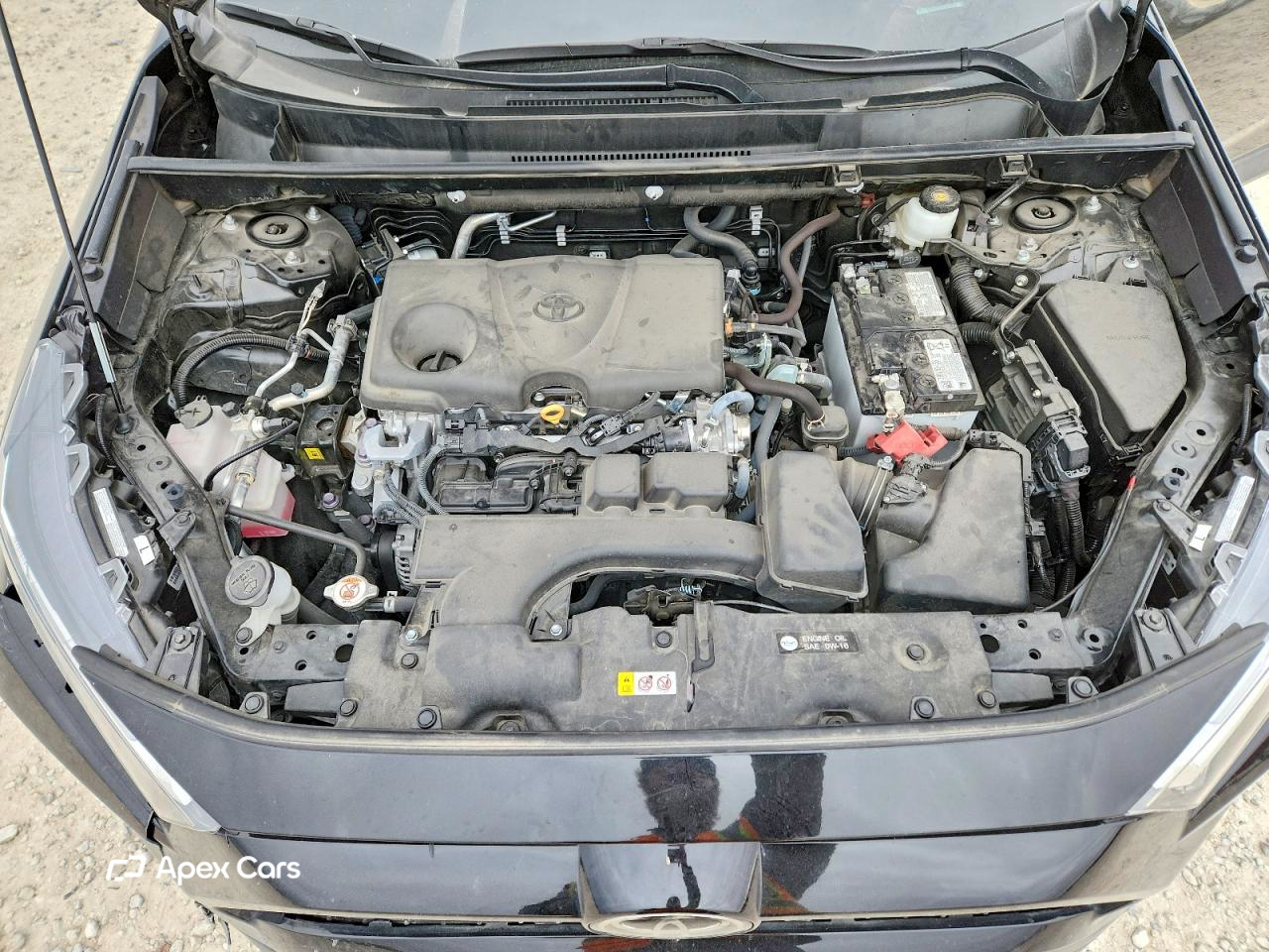 Toyota RAV 4 2024