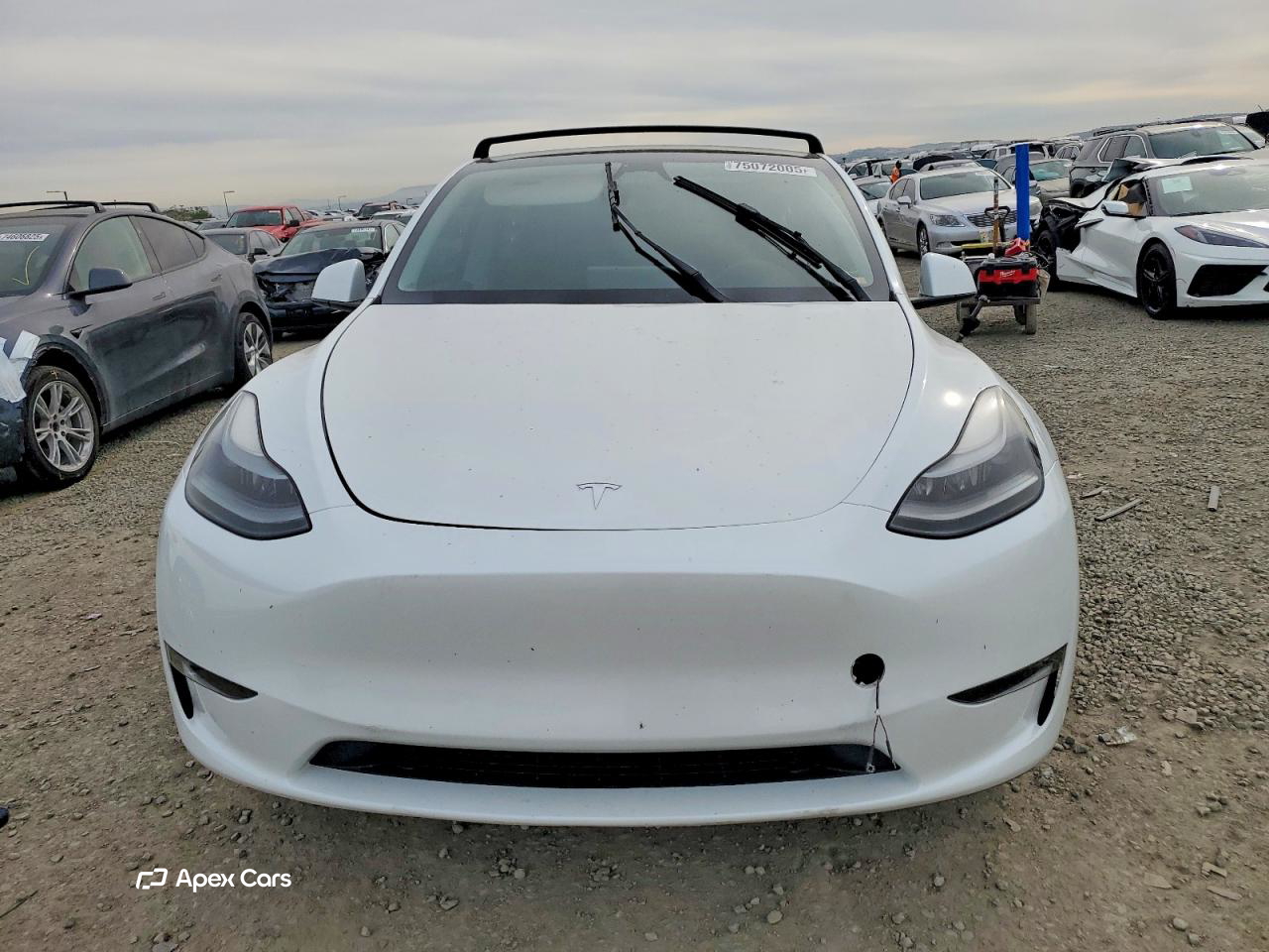 Tesla Model Y 2023