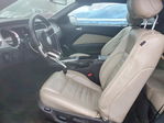 Ford Mustang 2014