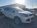 Ford Escape 2016
