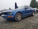 Ford Mustang 2007