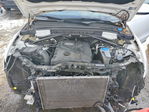Audi Q5 2013