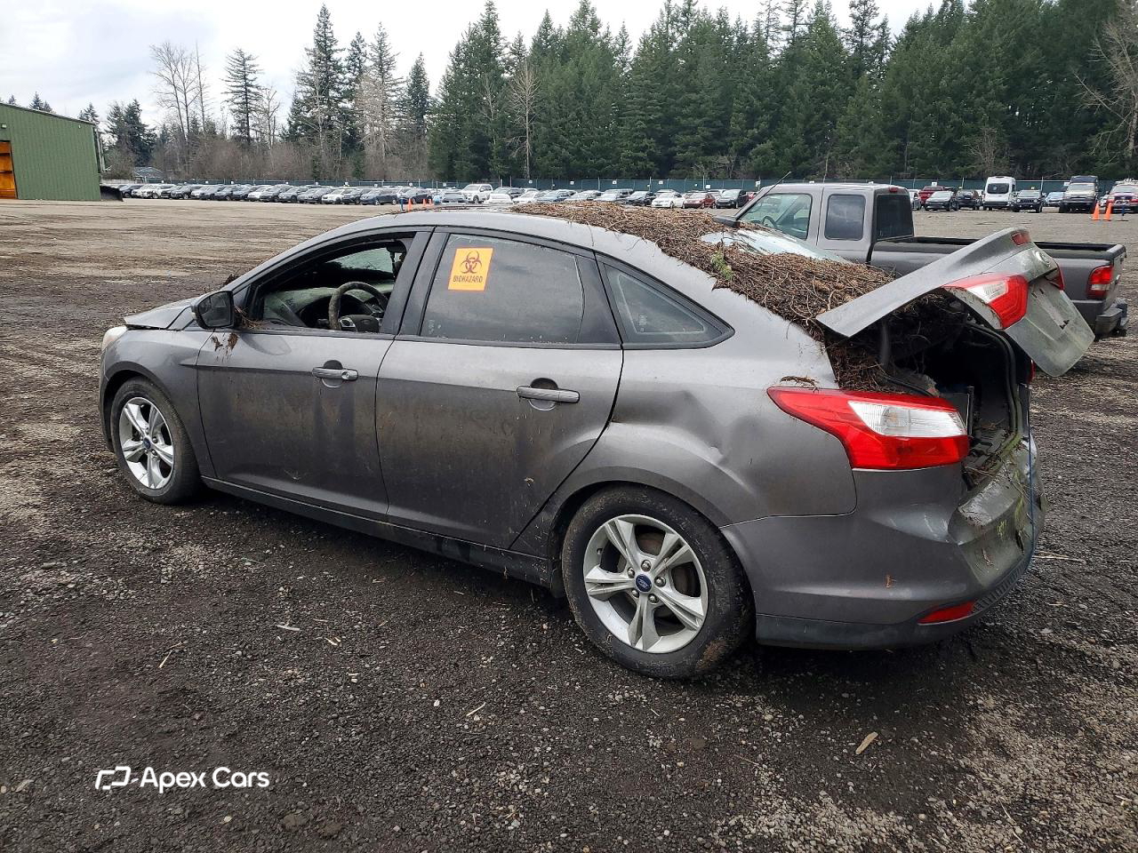 Ford Focus 2014