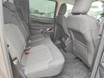 Ford Ranger 2024