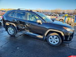 Toyota RAV 4 2019