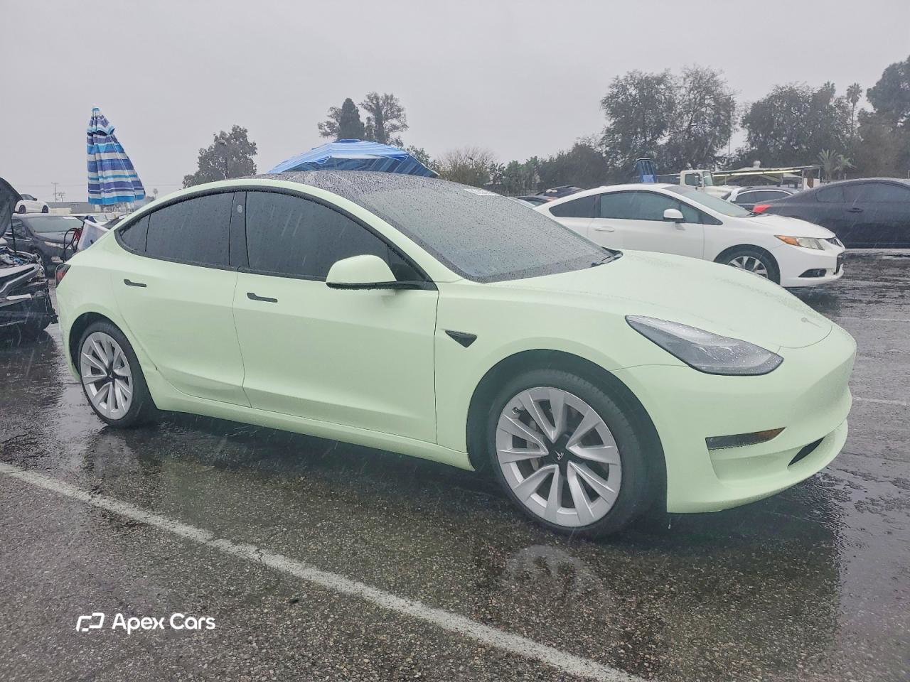 Tesla Model 3 2021