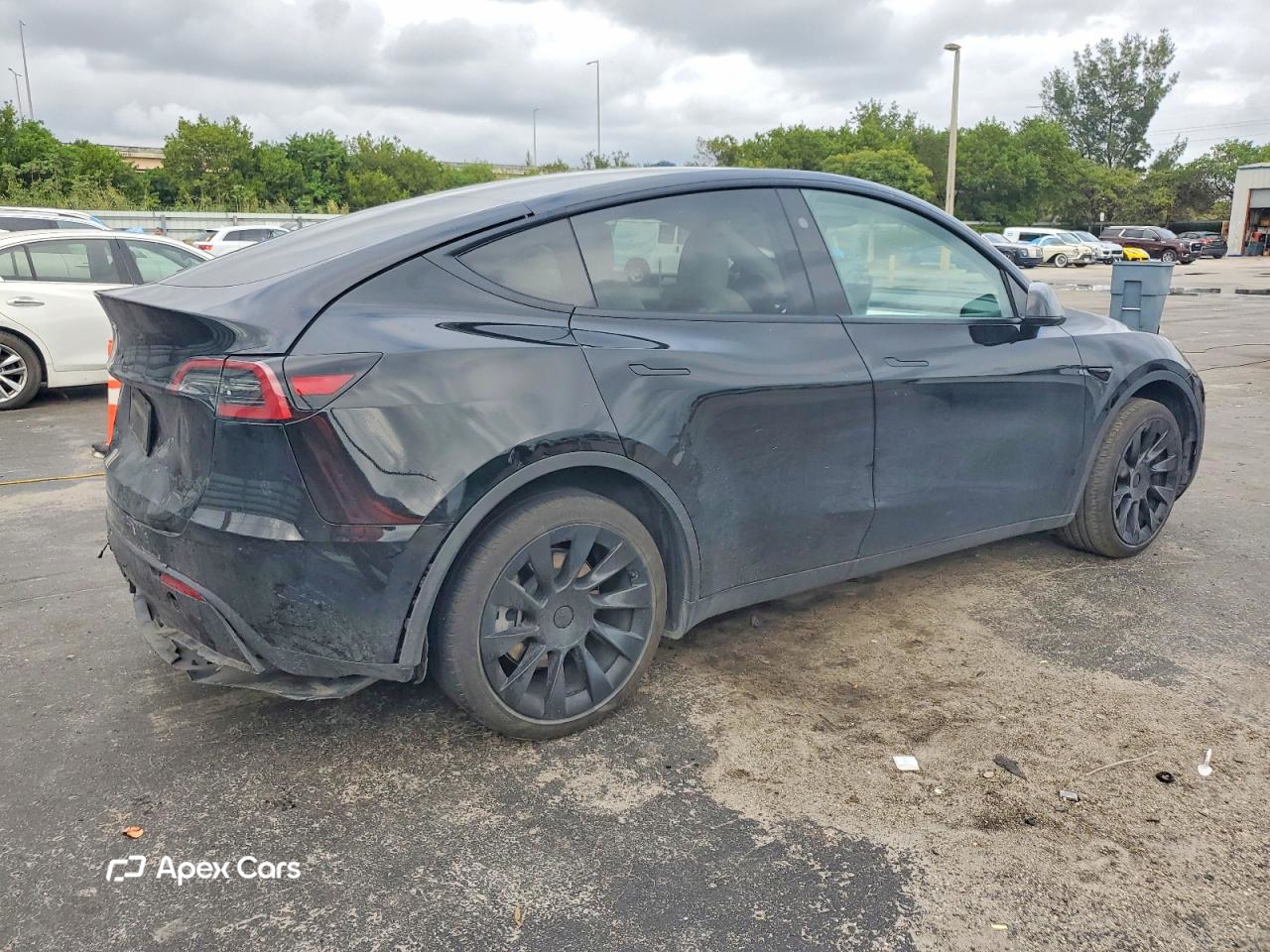 Tesla Model Y 2024