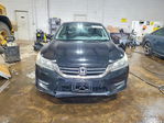 Honda Accord 2013