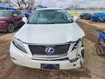 Lexus RX 2010
