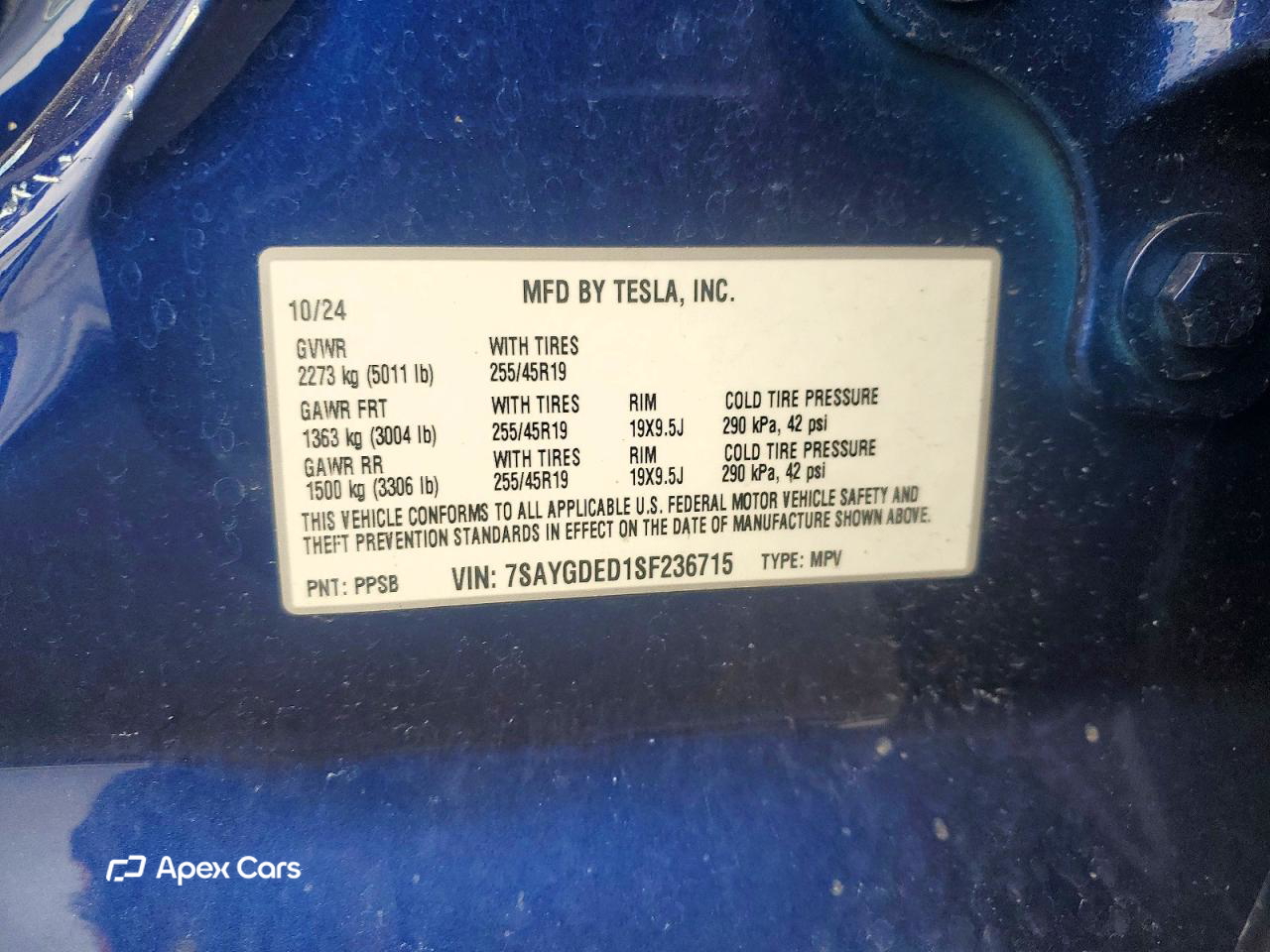 Tesla Model Y 2025