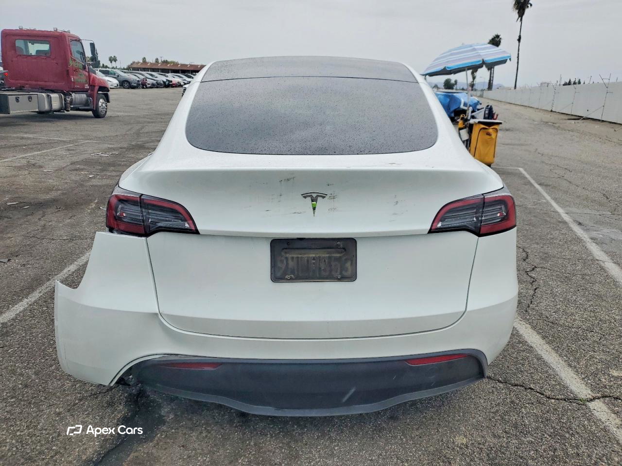 Tesla Model Y 2024