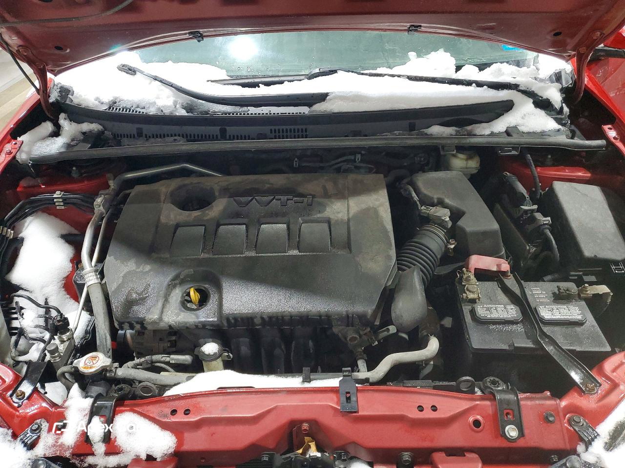 Toyota Corolla 2019