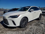 Lexus RX 2024