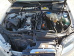 Audi A4 2005