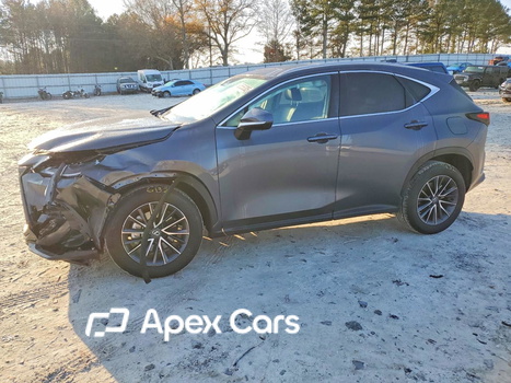 Lexus NX 2025 - Zdjęcie 1 z 14