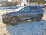 Lexus NX 2025
