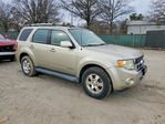Ford Escape 2011