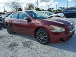 Nissan Maxima 2013