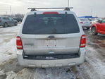 Ford Escape 2011