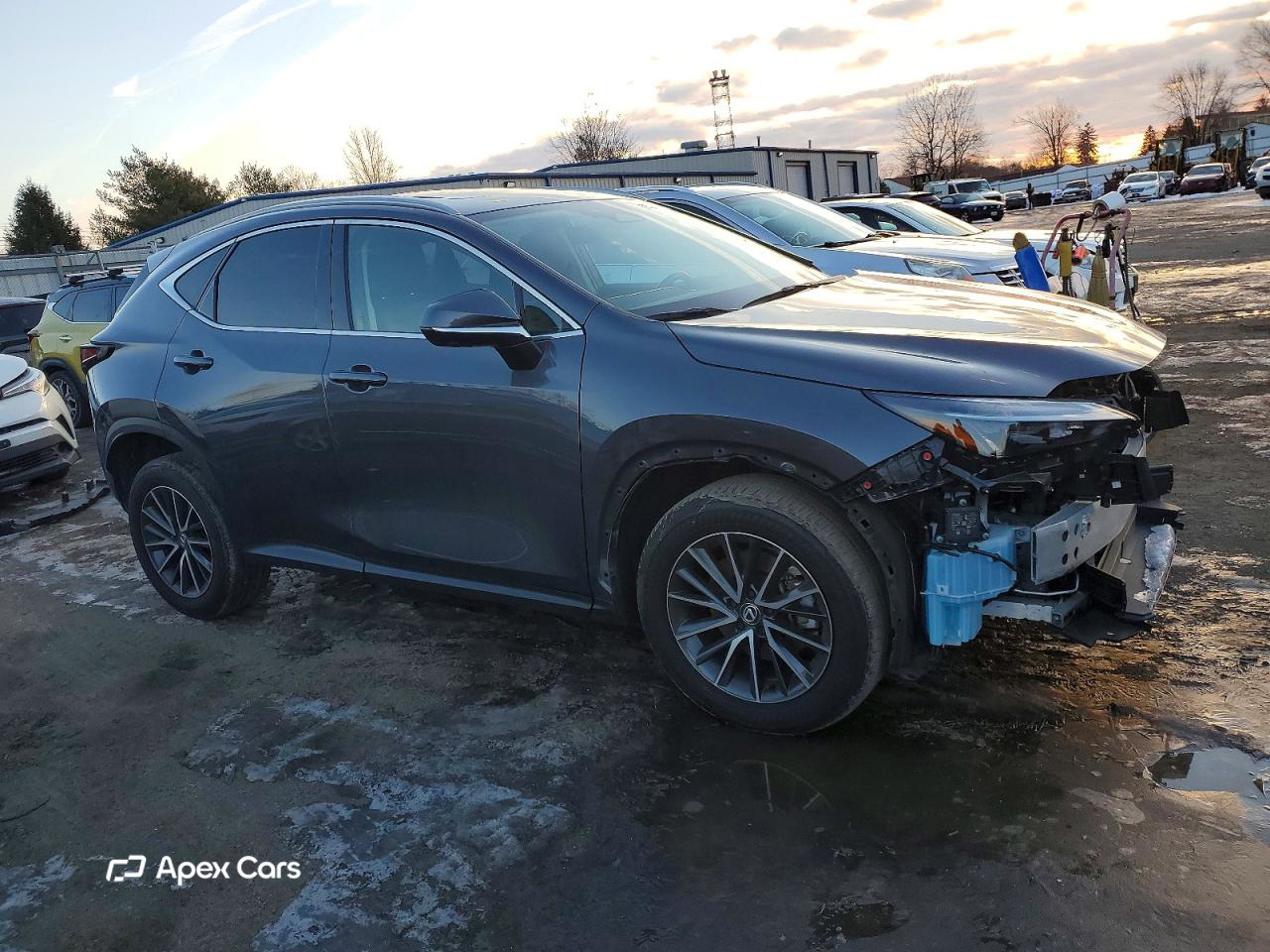 Lexus NX 2024